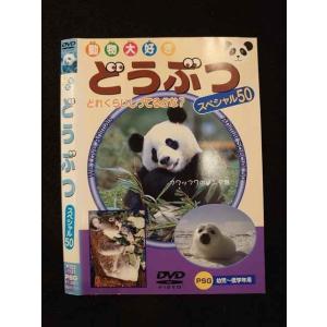 ○012767 レンタルUP：DVD 動物大好き どうぶつ スペシャル50 101 ※ケース無