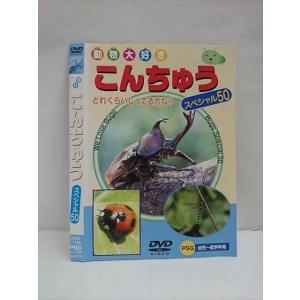 ○012871 レンタルUP：DVD 動物大好き こんちゅう スペシャル50 102 ※ケース無
