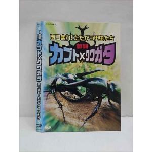 ○012871 レンタルUP：DVD 激闘 あつまれ！たたかう甲虫たち 9189 ※ケース無