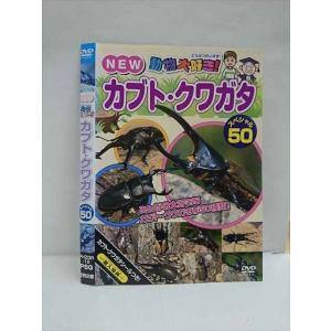 ○012873 レンタルUP：DVD NEW動物大好き！ カブト・クワガタ スペシャル50 12 ※ケース無