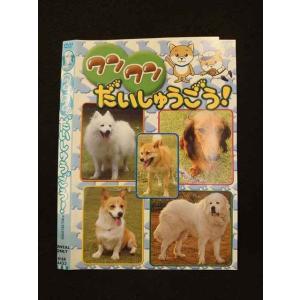○013401 レンタルUP：DVD ワンワンだいしゅうごう！ 4432 ※ケース無