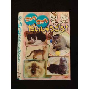 ○013401 レンタルUP：DVD ニャンニャンだいしゅうごう！ 4433 ※ケース無