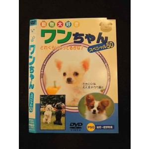 ○013677 レンタルUP*DVD 動物大好き ワンちゃん スペシャル50 104 ※ケース無