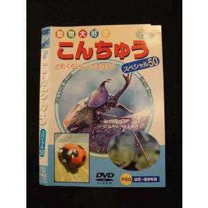 ○013677 レンタルUP*DVD 動物大好き こんちゅう スペシャル50 102 ※ケース無