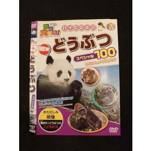 ○013677 レンタルUP*DVD 動物大好き！ NEW どうぶつ スペシャル100 101 ※ケース無
