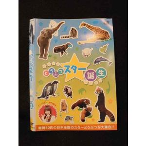 ○013671 レンタルUP*DVD どうぶつスター誕生 0132 ※ケース無