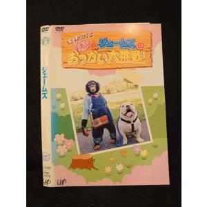 ○013671 レンタルUP*DVD 天才チンパンジー パン&ジェームズのおつかい大挑戦！ 17476 ※ケース無