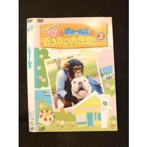 ○013671 レンタルUP*DVD 天才チンパンジー パン&ジェームズのおつかい大挑戦！2 17838 ※ケース無