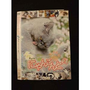 ○013671 レンタルUP*DVD にゃんこんと2 2343 ※ケース無