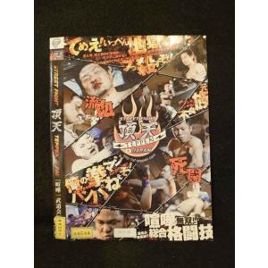 ○013674 レンタルUP*DVD STREET FIGHT 頂点 TEPPEN JAPAN 「喧嘩一武道会」 00588 ※ケース無