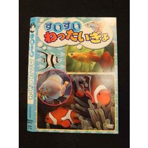 ○013679 レンタルUP*DVD すいすいねったいぎょ 5136 ※ケース無