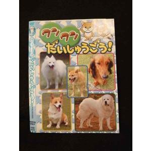 ○014613 レンタルUP■DVD ワンワンだいしゅうごう！ 4432 ※ケース無