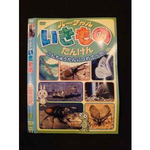 ○014817 レンタルUP□DVD バーチャルいきものたんけん こんちゅうかんにつれてって!! 4429 ※ケース無