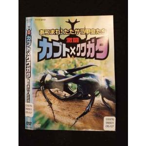 ○014817 レンタルUP□DVD 激闘カブト×クワガタ あつまれ！たたかう甲虫たち 9189 ※ケース無
