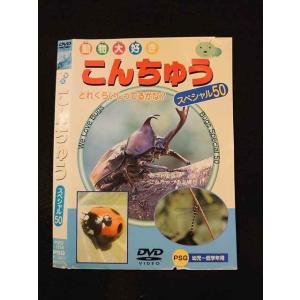 ○014893 レンタルUP□DVD 動物大好き こんちゅう スペシャル50 102 ※ケース無