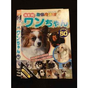 ○014898 レンタルUP□DVD NEW 動物大好き！ ワンちゃん スペシャル50 11 ※ケース無