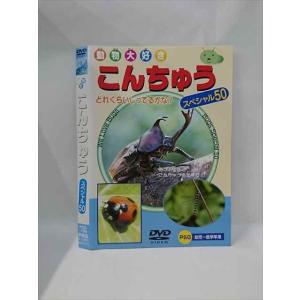 ○015352 レンタルUP▼DVD 動物大好き こんちゅう スペシャル50 102 ※ケース無