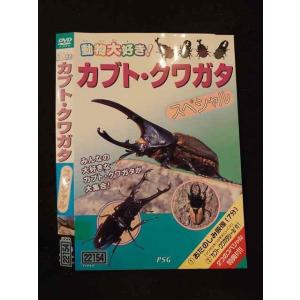 ○016125 レンタルUP▲DVD 動物大好き！ カブト・クワガタ スペシャル 22154 ※ケース無