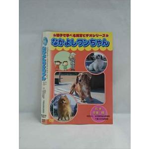 ○018193 レンタルUP△DVD 親子で学べる知育シリーズ なかよしワンちゃん 4357 ※ケース無