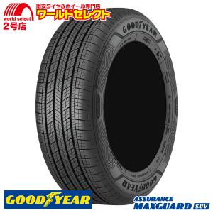 SHIBATIRE（シバタイヤ） サマータイヤ 1本 R23 280【265/35ZR19