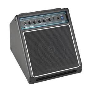 Acoustic AG15 15W 1x8 Acoustic Guitar Combo Amp｜worldselect