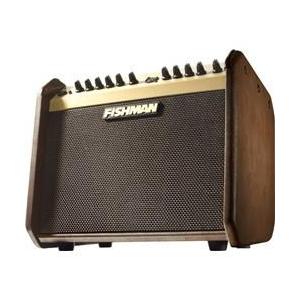 Fishman Loudbox Mini PRO-LBX-500 60W 1x6.5 Acousti...