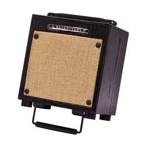 Ibanez Troubadour T10 10W 1x6.5 Acoustic Guitar Am...