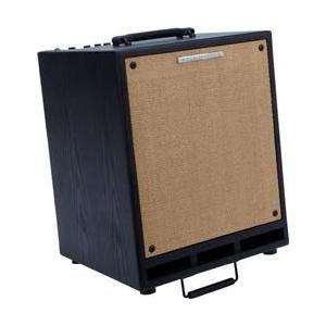 Ibanez T80 80W 2x8 Troubadour Acoustic Combo Amp