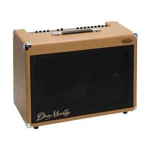 UltraSound Dean Markley PRO250 250W 1x10 and 1x4 Acoustic Combo Amp｜worldselect