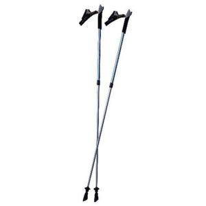 LEKI(レキ) Nordic Walking Instructor (Lt Blue) Trekking Pole｜worldselect