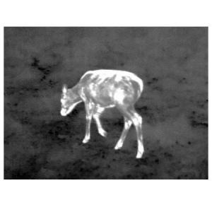 FLIR(フリアー) Scout TS32R ...の詳細画像2