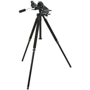 Televue(テレビュー) Tele-Pod Mount with Sky Tour Instal...