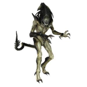 サイドショウ・コレクティブル社「AVP2」“(ウルフ)プレデターVS