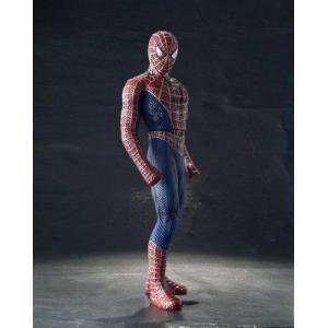 Movie リアルization Black スパイダーマン and フィギュア セット