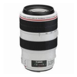 Canon EF 70-300mm f/4-5.6L IS USM Autofocus Telephoto Zoom Lens - Grey Market