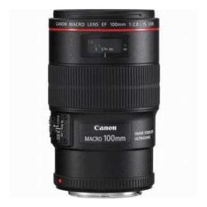 NIKON AF-S NIKKOR 28-300mm F3.5-5.6G ED VR : カメラのミツバ - 通販