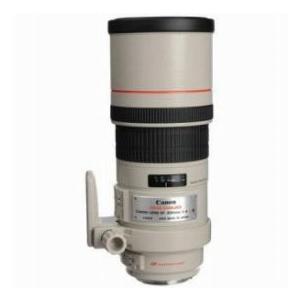 Canon EF 300mm f/4L IS USM Image Stabilizer AutoFocus Telephoto