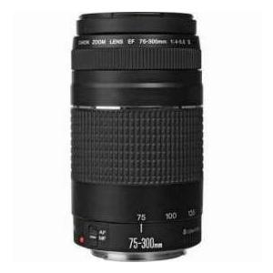 ニコン（Nikon） Nikon D800 / AF-S NIKKOR 28-300mm F3.5-5.6 G ED VR