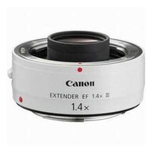 Canon EF200-400mm F4L IS USM エクステンダー 1.4× (RF,RU) [1.4倍