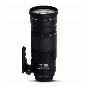 Sigma 120-300mm f/2.8 EX DG OS APO HSM Telephoto Z...