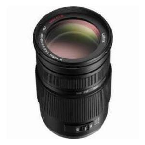 Panasonic Lumix G Vario 100-300mm f/4.0-5.6 MEGA O.I.S. Zoom Lens