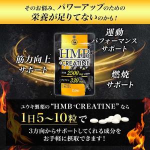 ユウキ製薬 HMB クレアチン 約15-30日...の詳細画像3