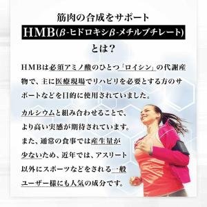 ユウキ製薬 HMB クレアチン 約15-30日...の詳細画像4