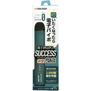 マルマン 電子パイポ サクセス 禁煙パイポ 電...の詳細画像2
