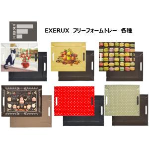 EXELUX フリーフォームトレー　ギャラリーシリーズ　ＴＶで大反響のイギリス発のTikTokでバズ...