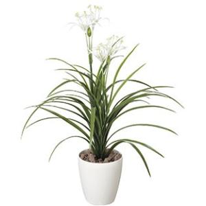 ポイント10倍《アートグリーン》《人工観葉植物》光触媒　光の楽園　ユッカ花付｜worldwholesale