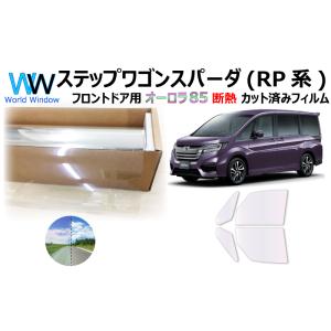 BRAINTEC カーフィルム 新型ステップワゴン カット済み ゴースト