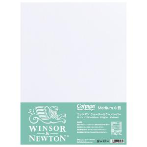 ウィンザー&ニュートン（WINSOR&NEWTON） W&N ドローイングインク 14ml