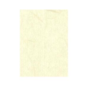 VANCO バンコ 和紙 大礼紙 絹 A4 10枚入 53235