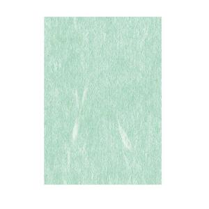 VANCO バンコ 和紙 大礼紙 若草 A4 10枚入 53237